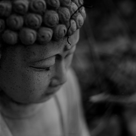 041804005-buddha